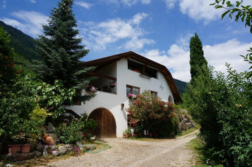 Příroda nedaleko apartmánu