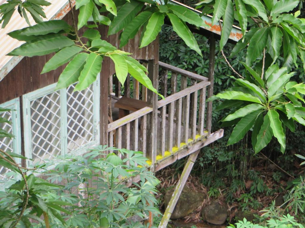Zahrada ubytování Nanga Damai Homestay
