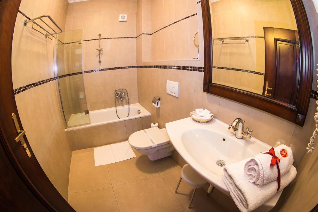 a bathroom with a sink and a toilet and a shower at Hotel U Krále in Jičín