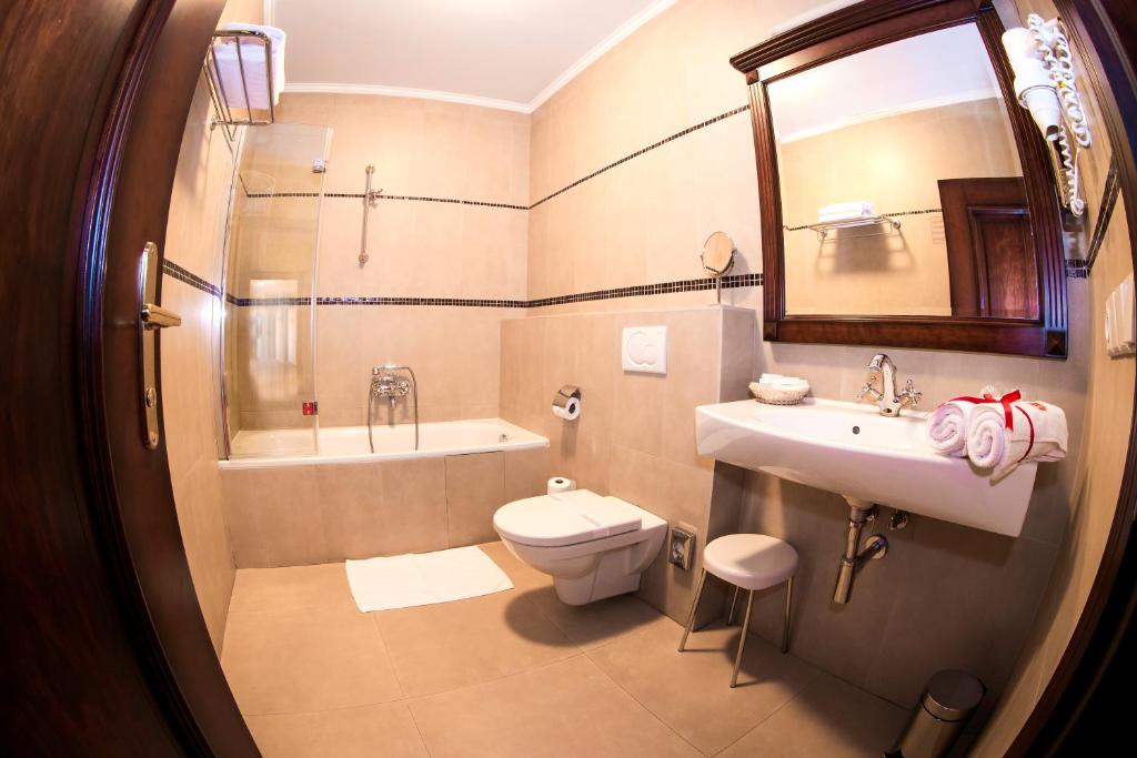 a bathroom with a sink and a toilet and a shower at Hotel U Krále in Jičín