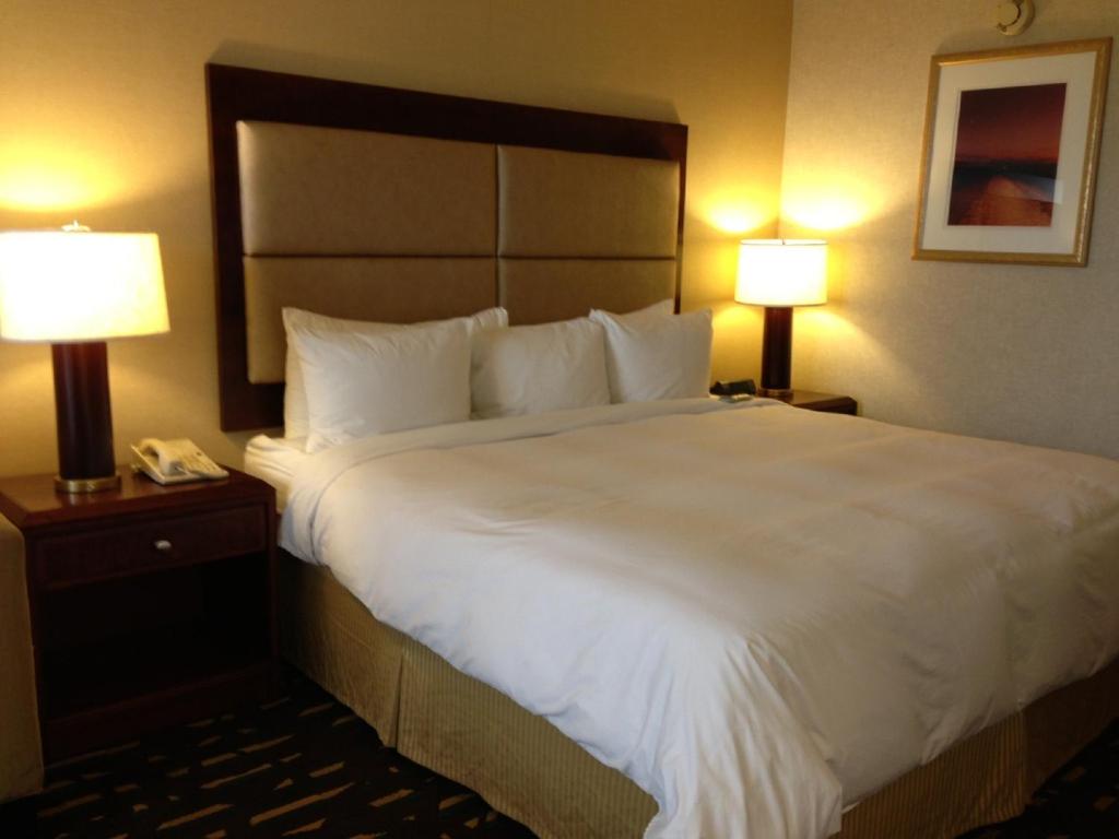 Wyndham Chicago O'Hare - Upgraded King Room - Non-Smoking