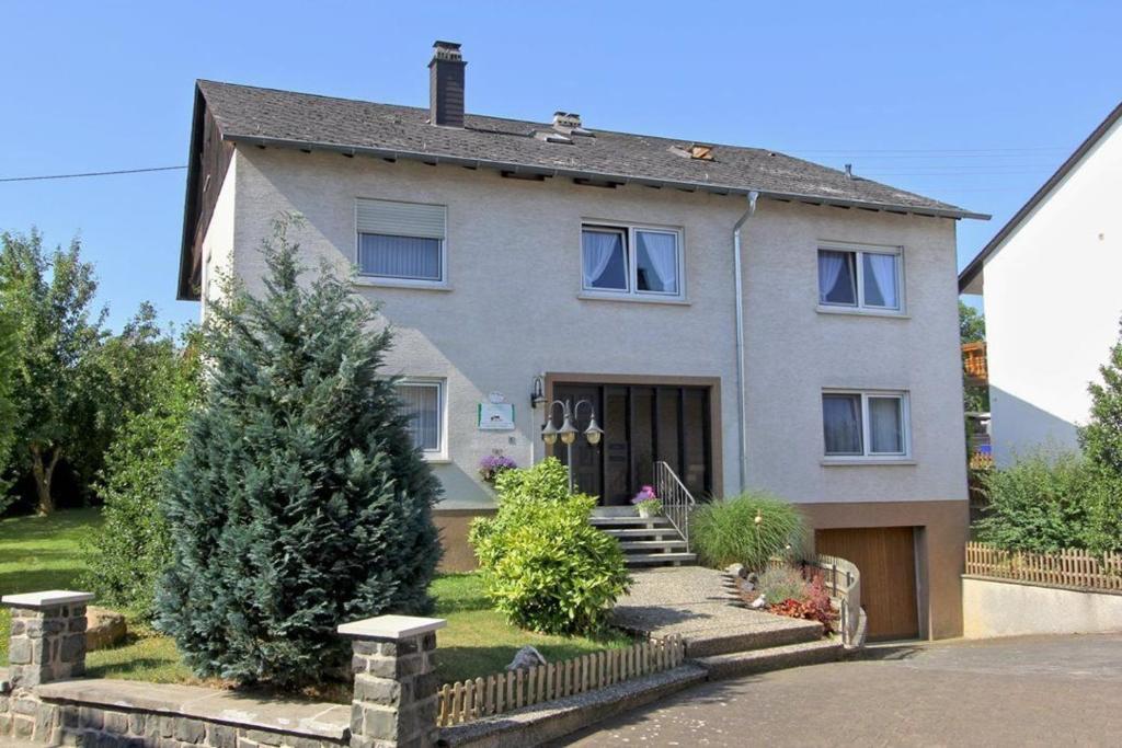 una casa con un árbol de Navidad delante de ella en Ferienhaus Raue, en Sulzbach