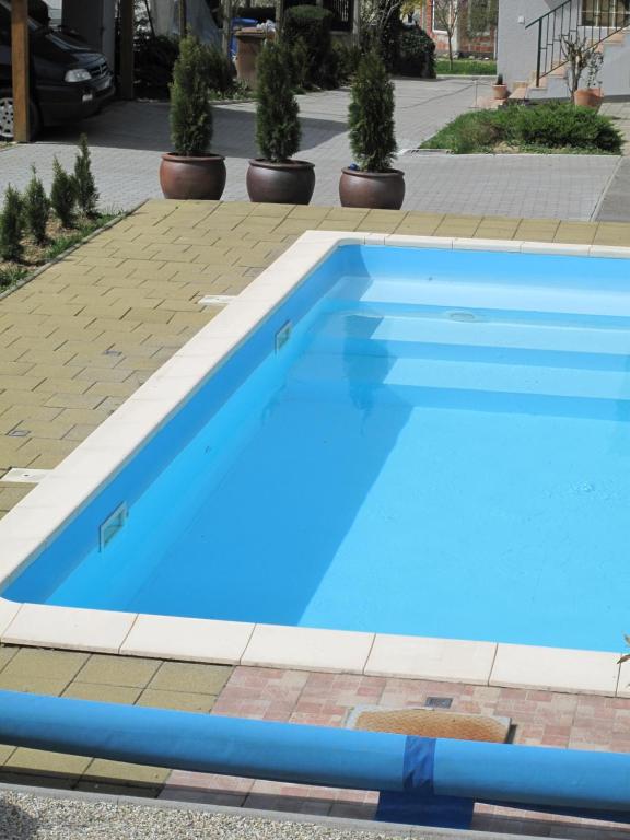 Bazén v ubytování Guesthouse Ursula nebo v jeho okolí