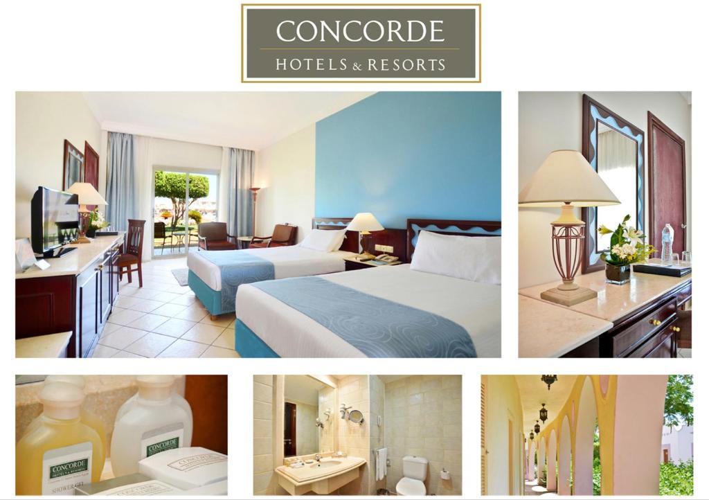 Concorde El Salam Sharm El Sheikh Sport Hotel - 三室 - 花园或游泳池景观