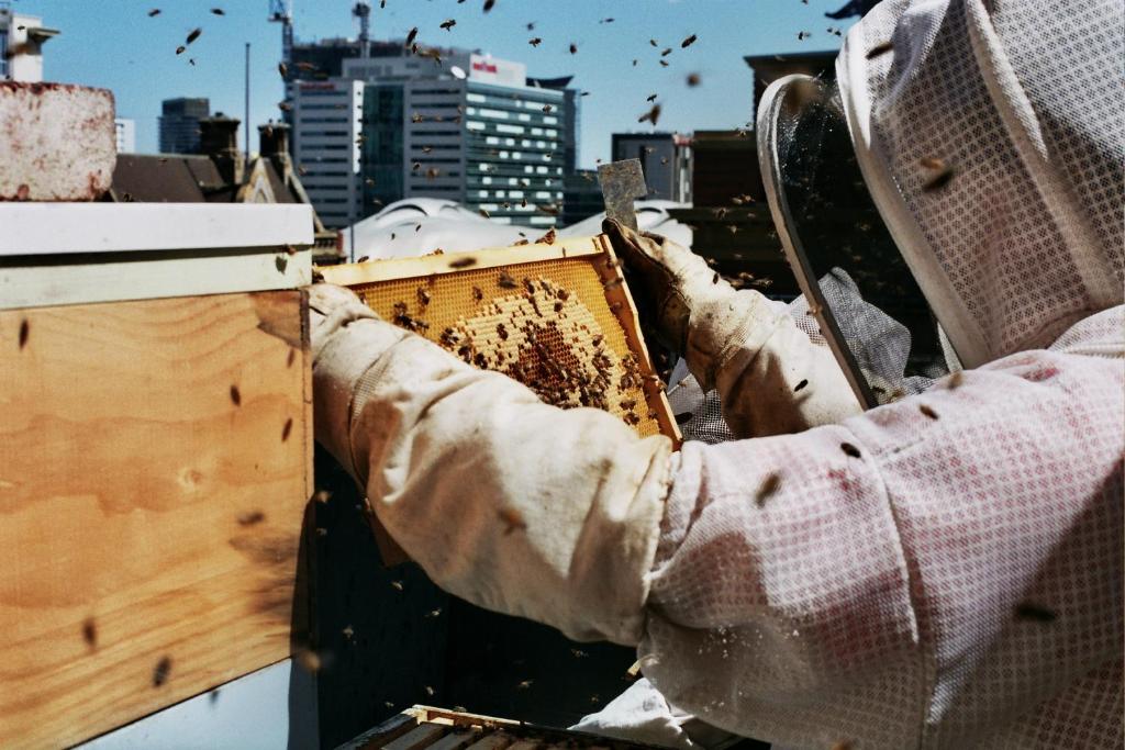 Alto Hotel On Bourke - Resim 17