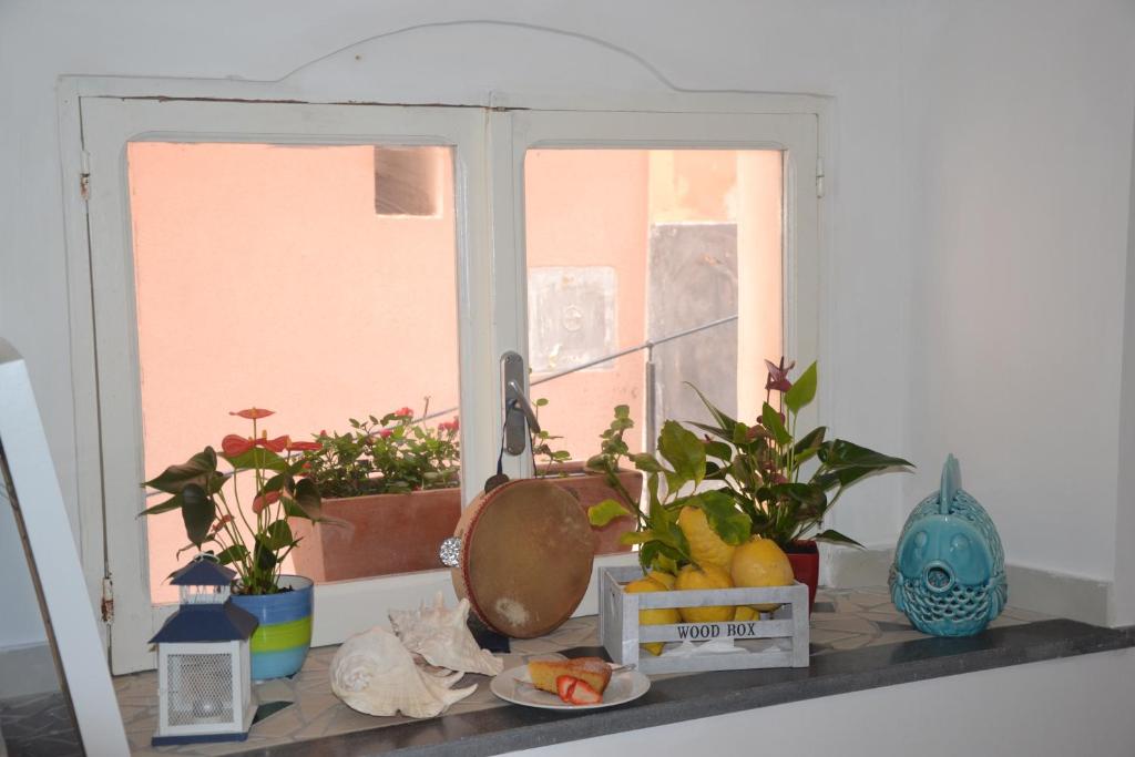 a window with a bunch of plants on a shelf at Terra Murata Boutique b&b in Procida