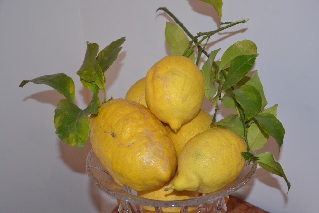a glass bowl filled with lemons and a plant at Terra Murata Boutique b&b in Procida