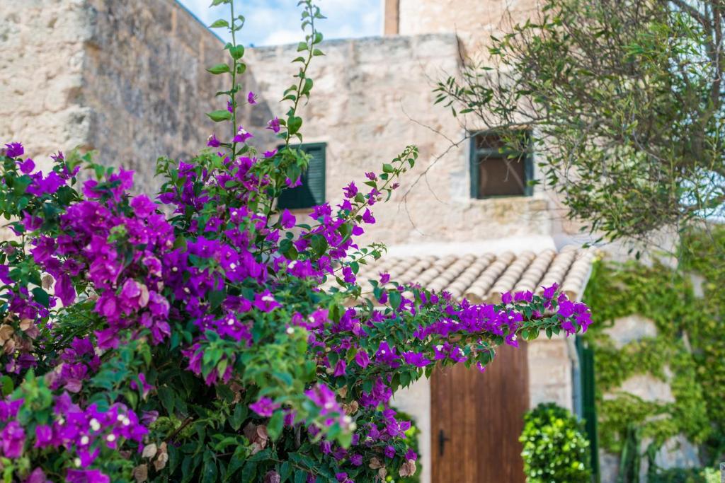 A garden outside Villa Es Moli - Son Femenia