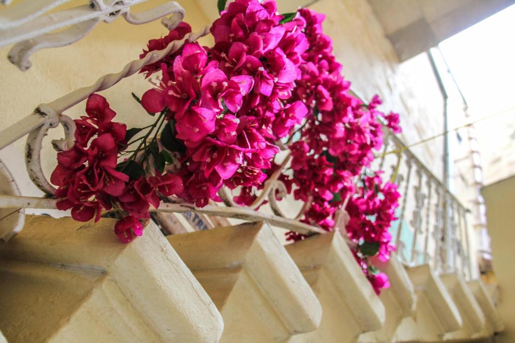 a bunch of pink flowers hanging from a wall at Sant Orsla Suite in Valletta