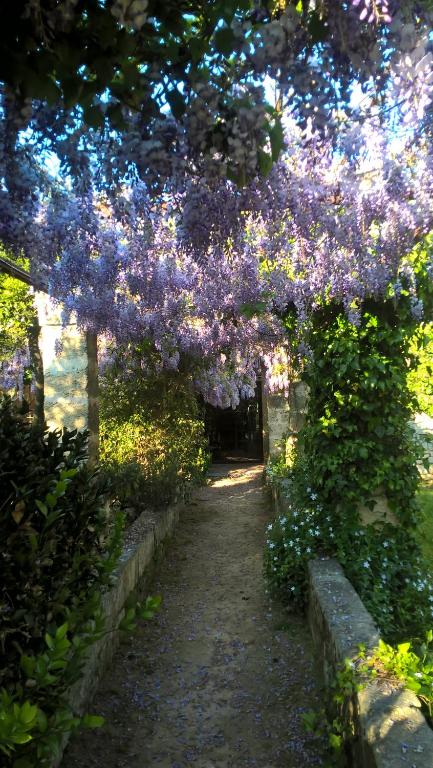 Zahrada ubytování Casale del Forno