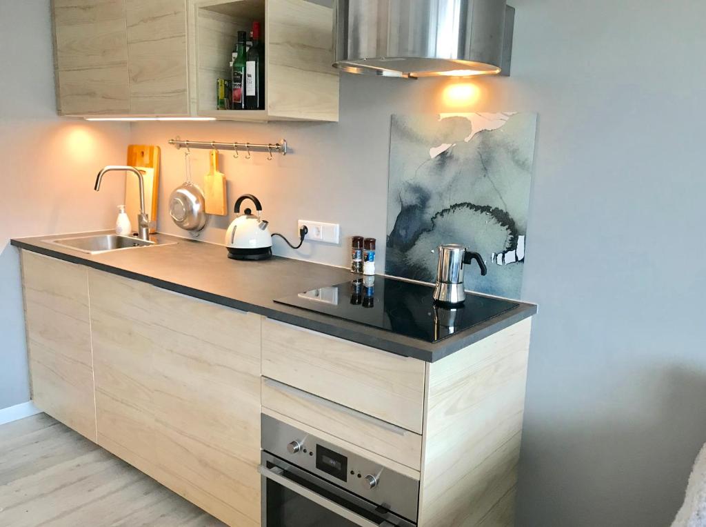 a kitchen with a sink and a counter at Poppenberg Lodge in Winterberg