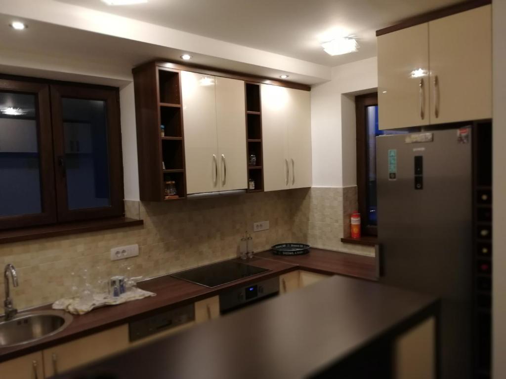 uma cozinha com um lavatório e um frigorífico em Leon em Gornji Milanovac