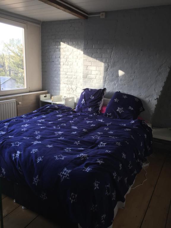 sypialnia z niebieskim łóżkiem z fioletowymi poduszkami w obiekcie Au 194 w mieście Liège