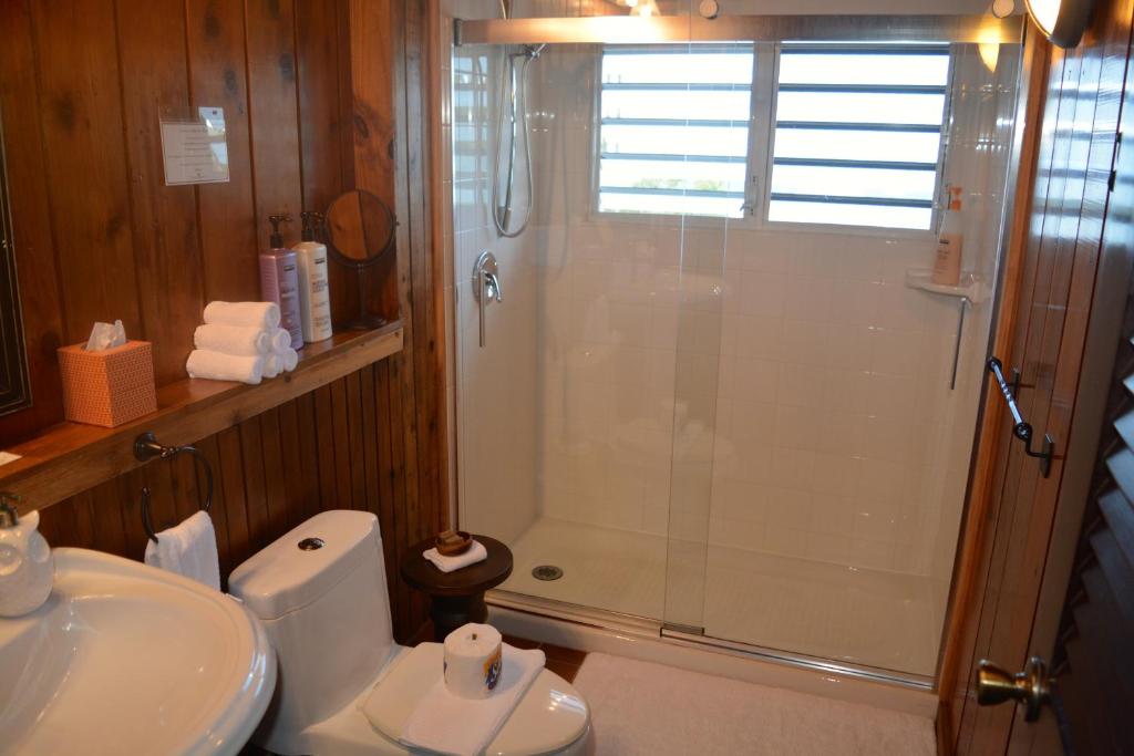 El Yunque Rainforest Inn - Double Room With Mountain View