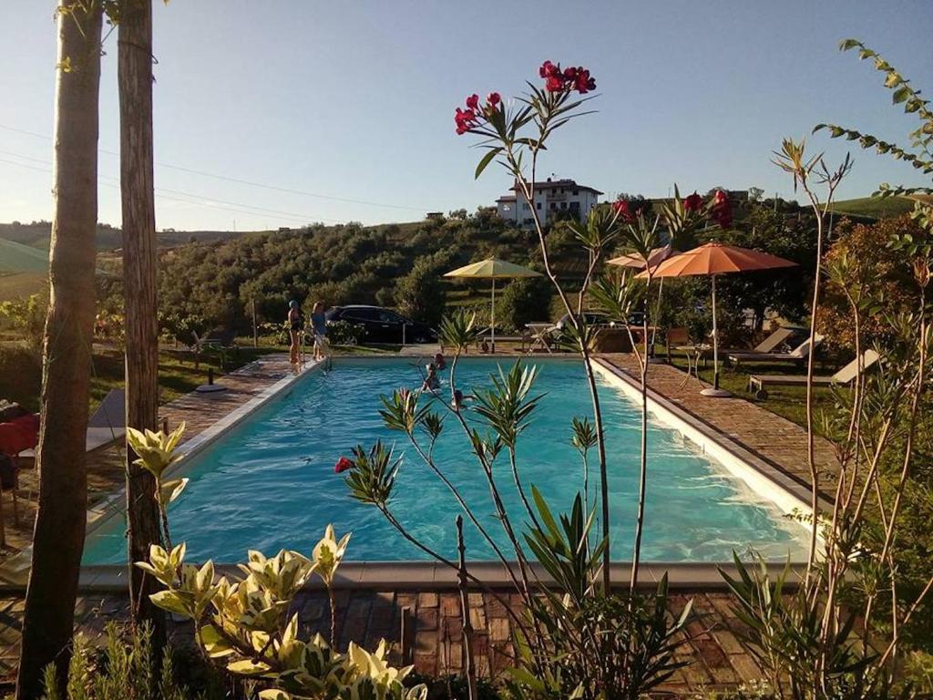 Bazén v ubytování Agriturismo Cignale nebo v jeho okolí