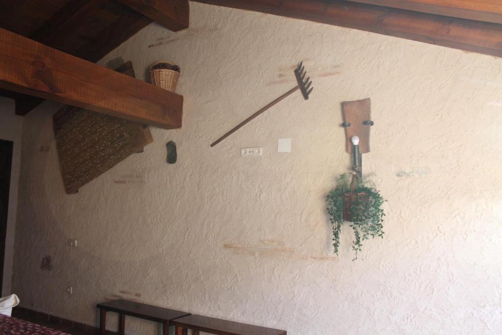 Fotografie z fotogalerie ubytování Cotanilla v destinaci Cubillo