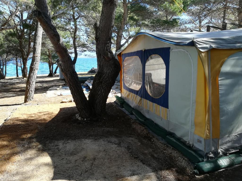 une tente à côté d'un arbre près de l'eau dans l'établissement Caravan near the sea 2, à Ugljan