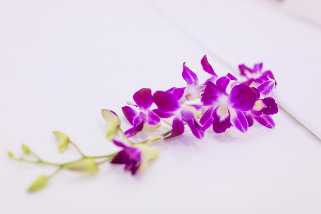 Fotografie z fotogalerie ubytování Summer Beach v destinaci Danang