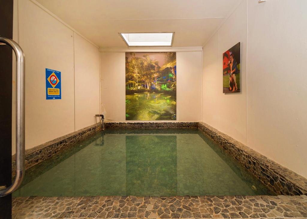 Red Rock Thermal Motel - Mineral Pool - Resim 25