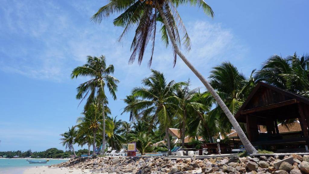 a group of palm trees on a beach at First Villa Beach Resort in Baan Tai