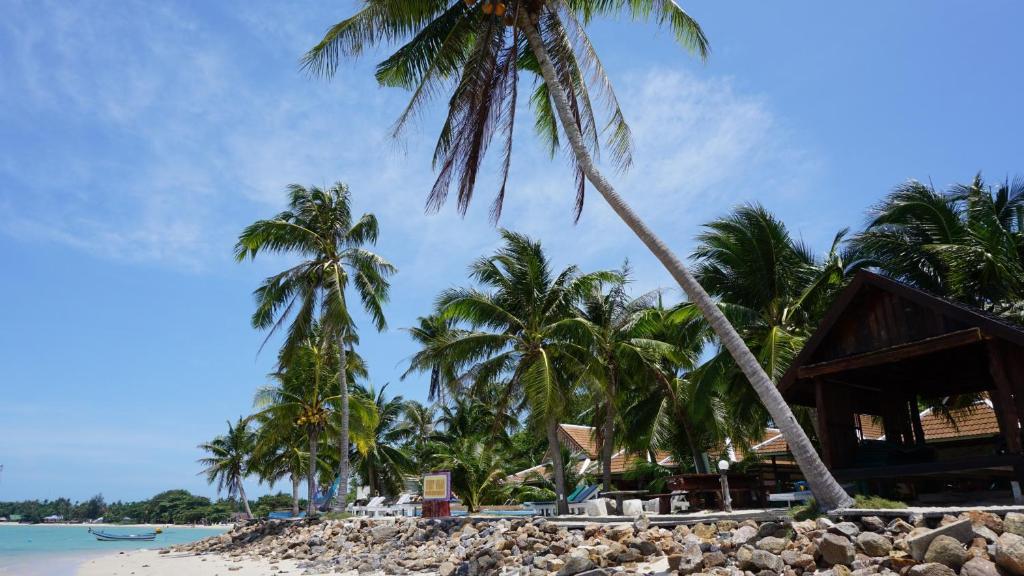 a group of palm trees on a beach at First Villa Beach Resort in Ban Tai