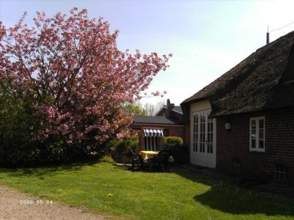 a yard with a house and a tree with pink flowers at Hackerhof-Ostwohnung in Morsum