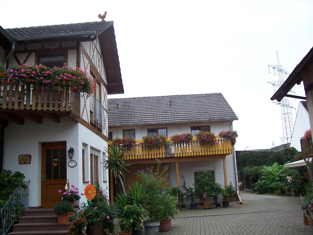 una casa con macetas de flores y balcones en ella en Meyerhof, en Wittenweier