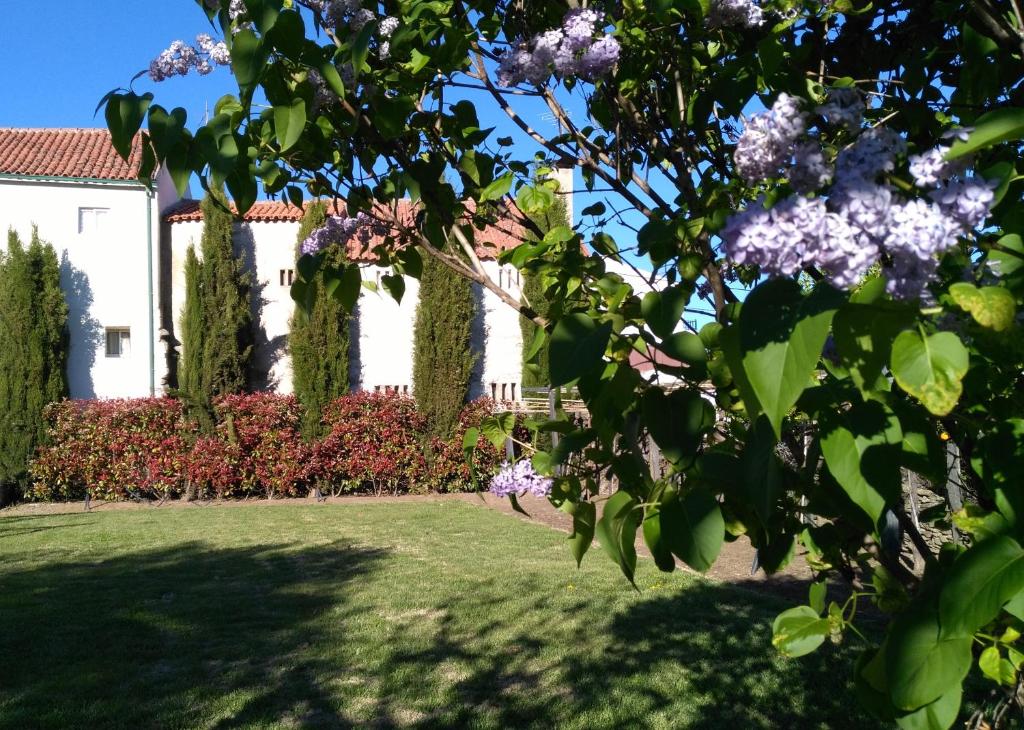 ヴィラ・ノーヴァ・デ・フォス・コアにあるMoinho das Eirasの木々と花の庭のある家