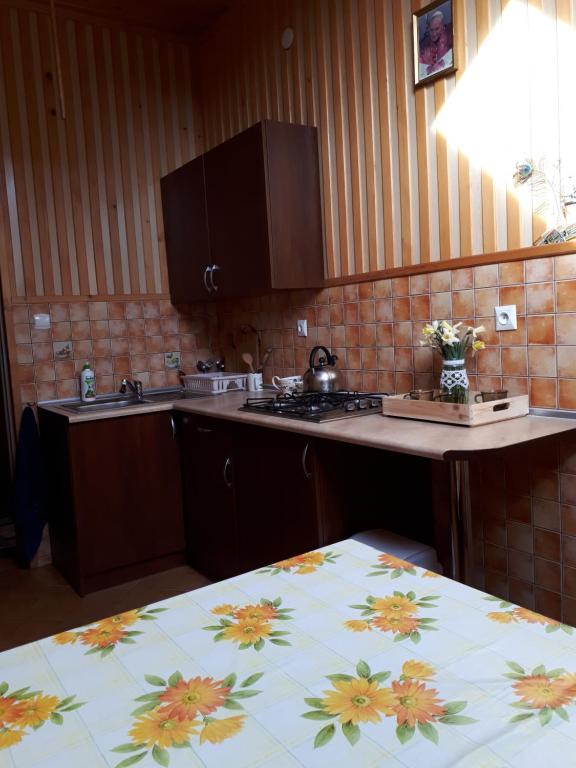 Kuchyňa alebo kuchynka v ubytovaní Noclegi u Zosi