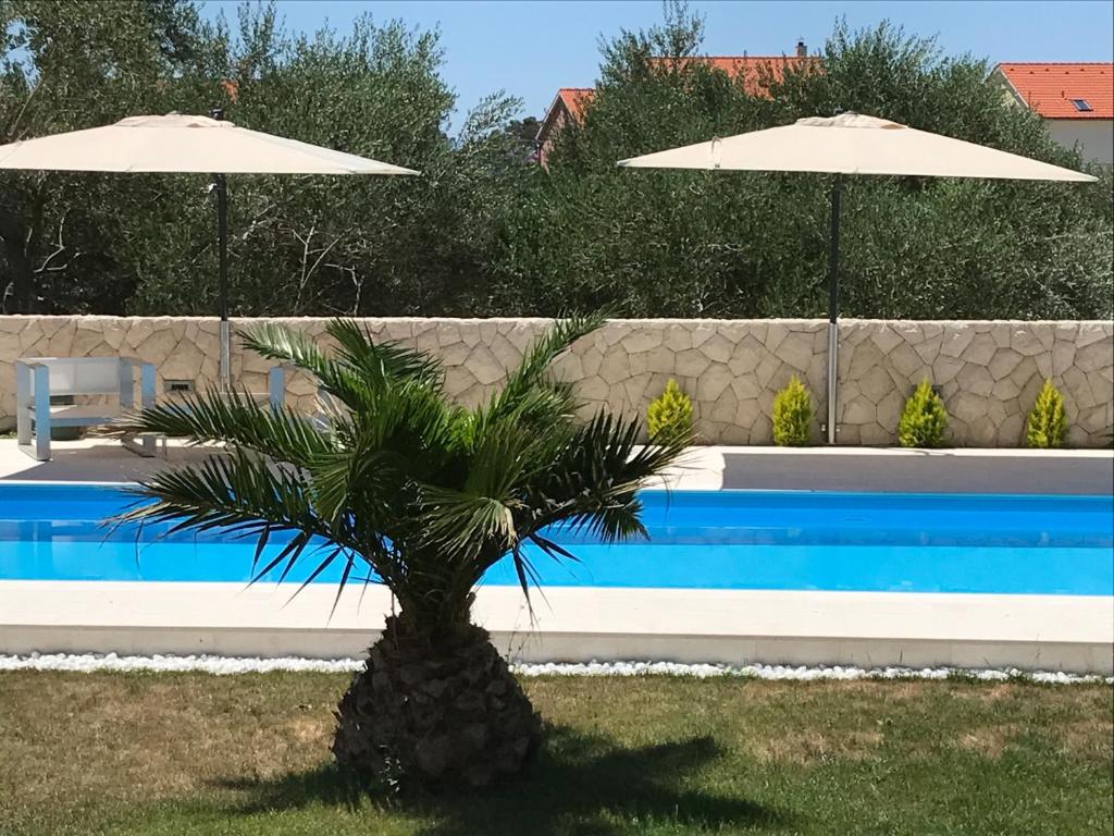 Petiva House - Apartamento De Lujo
