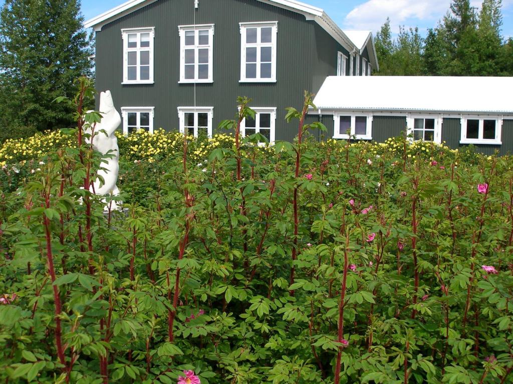 a house with a field of flowers in front of it at Ásaskóli in Árnes