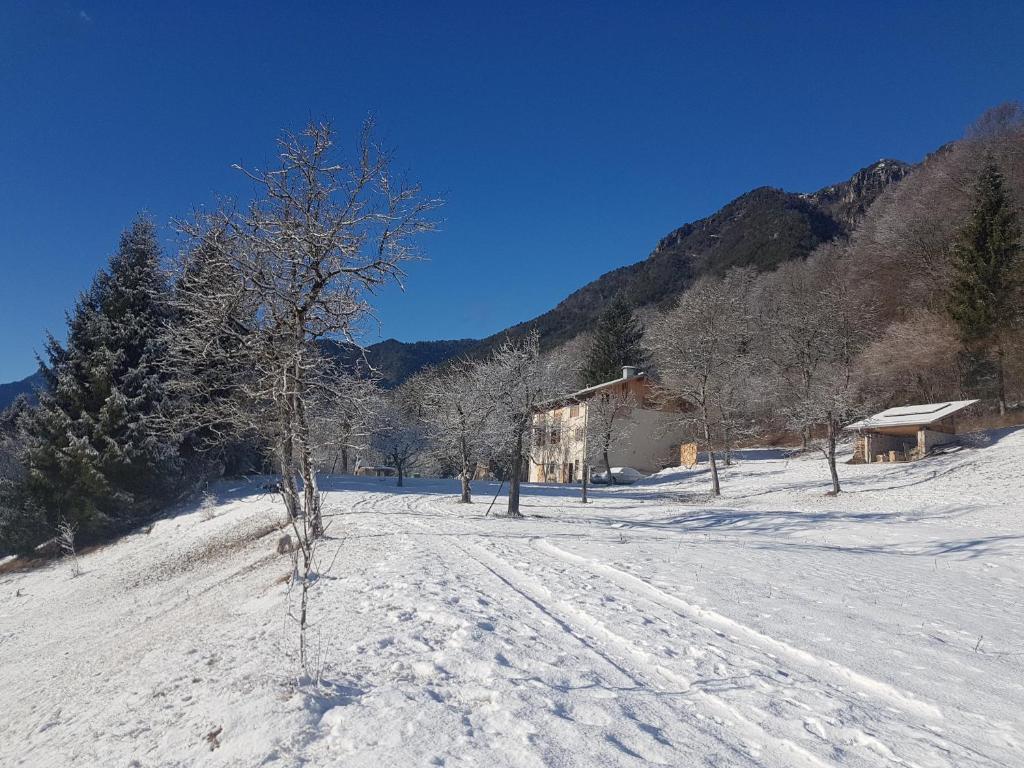 Tiarno di SopraにあるVilla Iagra Ledroの雪田