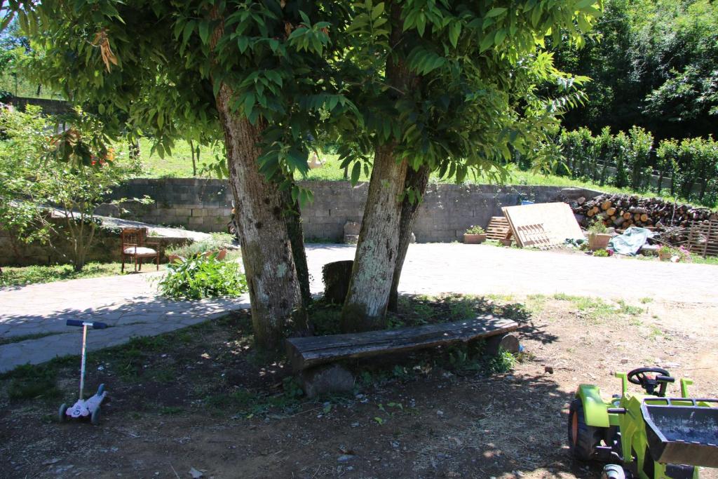 un parc avec un banc sous deux arbres dans l'établissement podere il sorriso degli angeli, à Pistoia