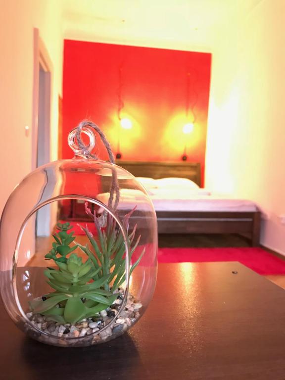 リヴィウにあるRed & Yellow Apartmentの椀の上に植物を置いたガラス鉢