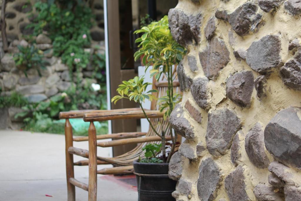 Zahrada ubytování Killari B&B