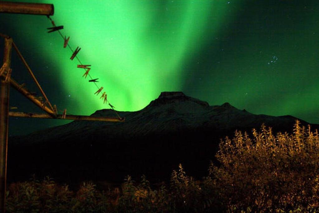 um bando de aves a voar sob a aurora boreal em Iðavellir Guesthouse em Skagaströnd