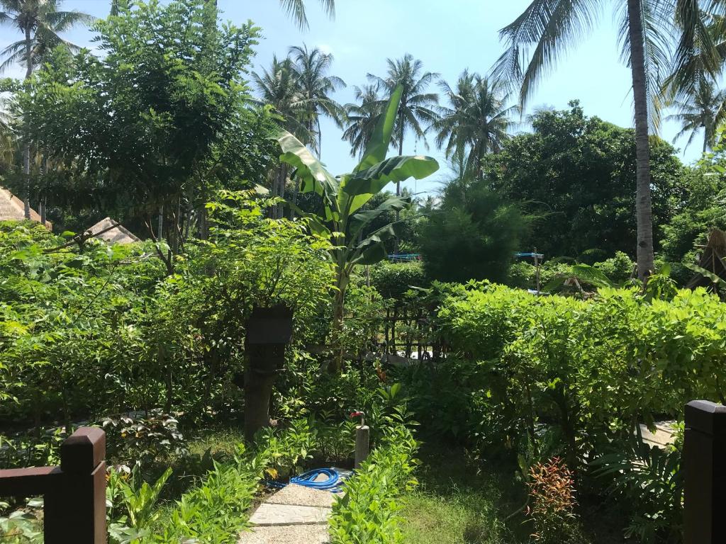 Meno Madia Bungalows - 5