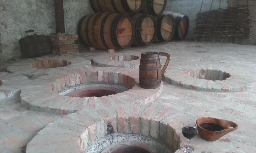 Fotografie z fotogalerie ubytování Omsi House v destinaci Telavi