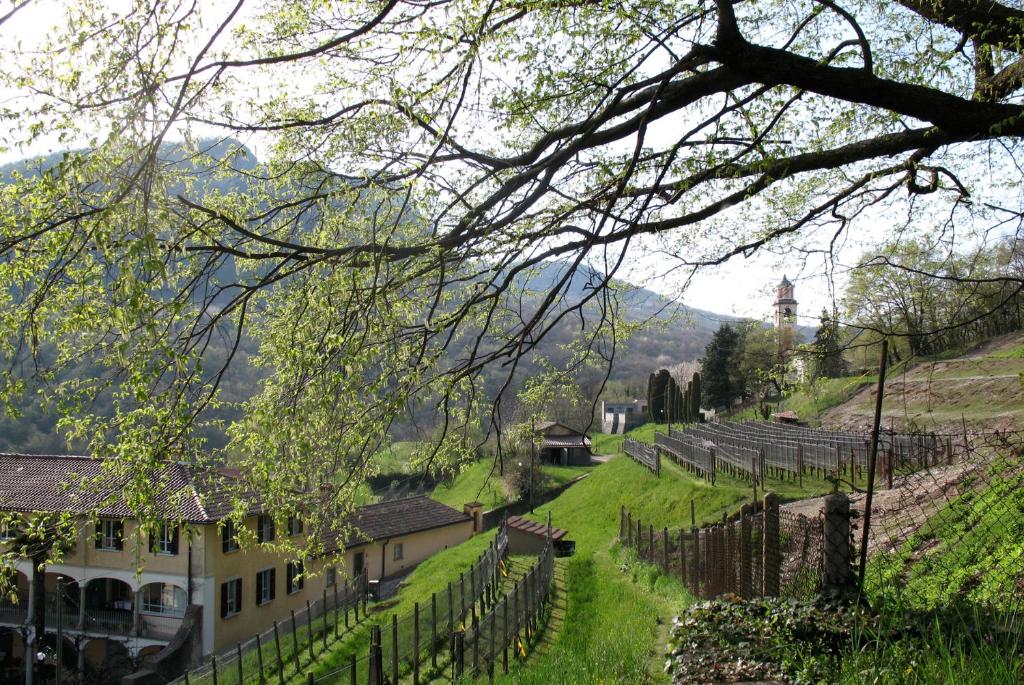 Příroda nedaleko bed and breakfast