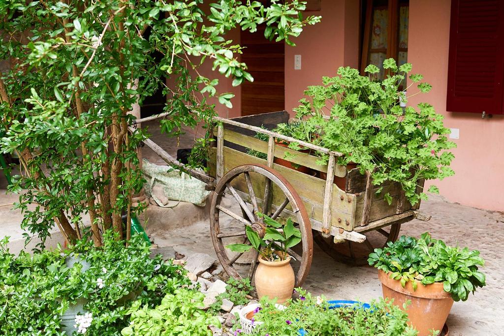 un viejo carro de madera con plantas en un jardín en Charming B&B and Osteria La Crisalide en Meride