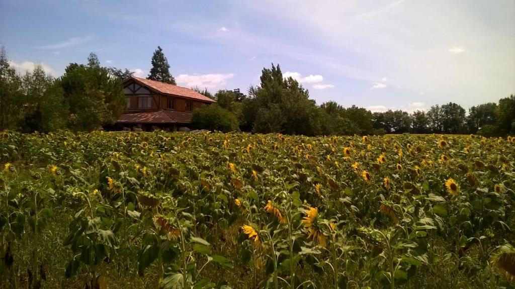 Lagraulet-du-GersにあるBerdaleの家の前のひまわり畑