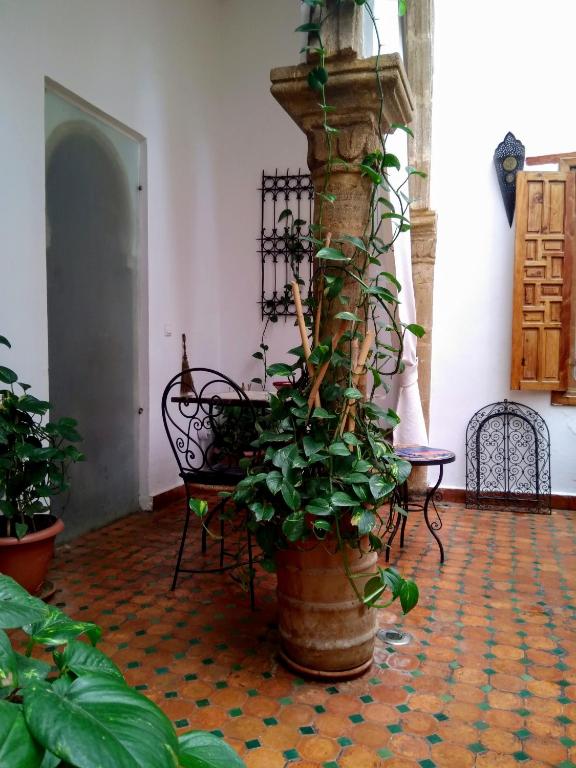 Galería fotográfica de Riad El Bir en Rabat