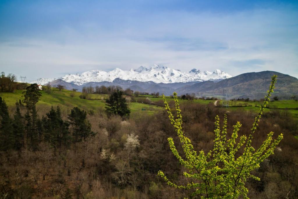eine Bergkette mit schneebedeckten Bergen in der Ferne in der Unterkunft Hotel Montañas de Covadonga in Cangas de Onís