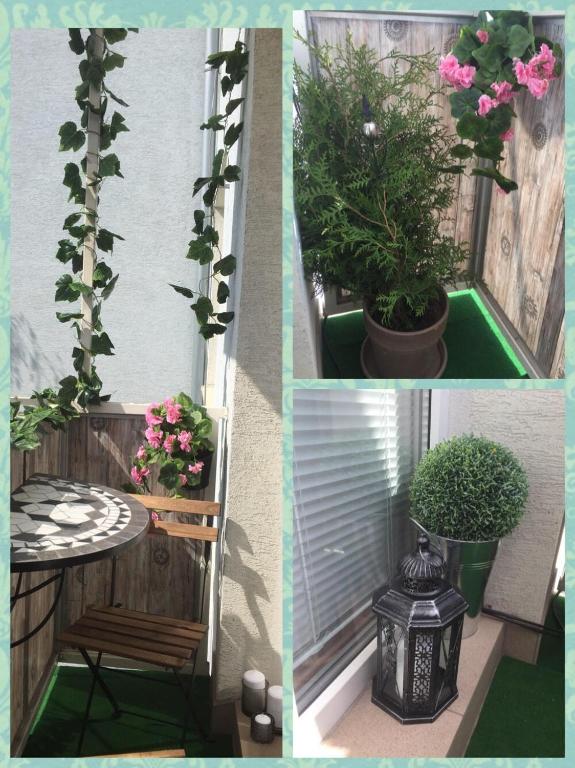Vonkajšia záhrada v ubytovaní Old Town Vintage Apartment Sturova