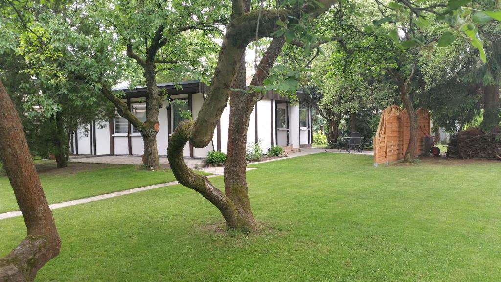 un groupe d'arbres dans un parc avec un bâtiment dans l'établissement Ferienhaus Gregor, à Birkenwerder