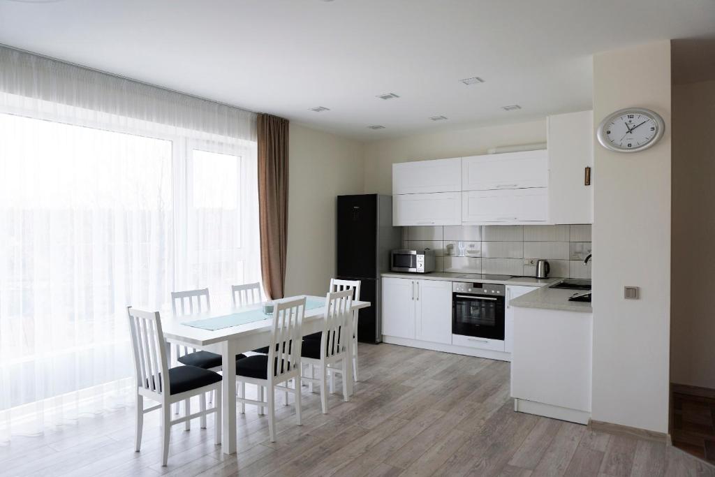 Kuchyň nebo kuchyňský kout v ubytování Ąžuolo apartamentai
