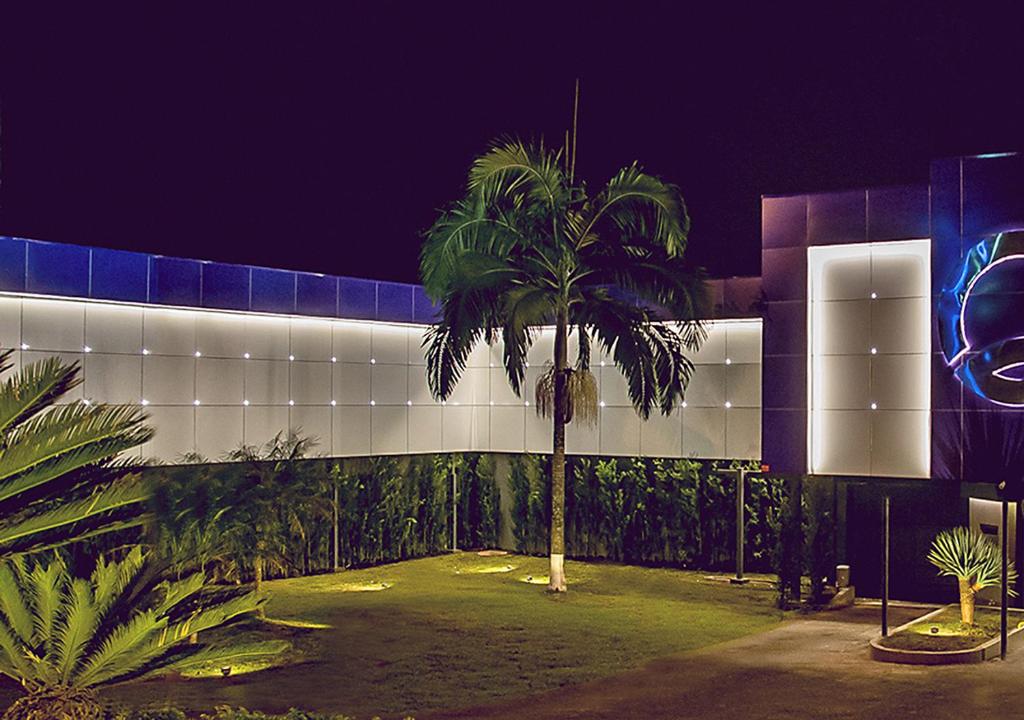uma palmeira em frente a um edifício à noite em Motel Quo em São Paulo