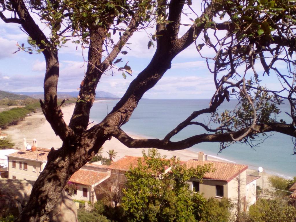 カルデードゥにあるVilletta Immersa Nella Naturaの木から海岸を望む