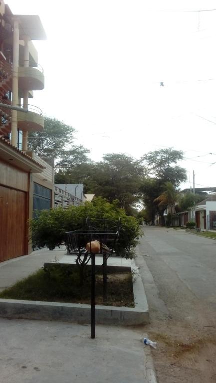 Fotografie z fotogalerie ubytování Hospedaje Residencial Los Fresnos - Miraflores Piura v destinaci Piura