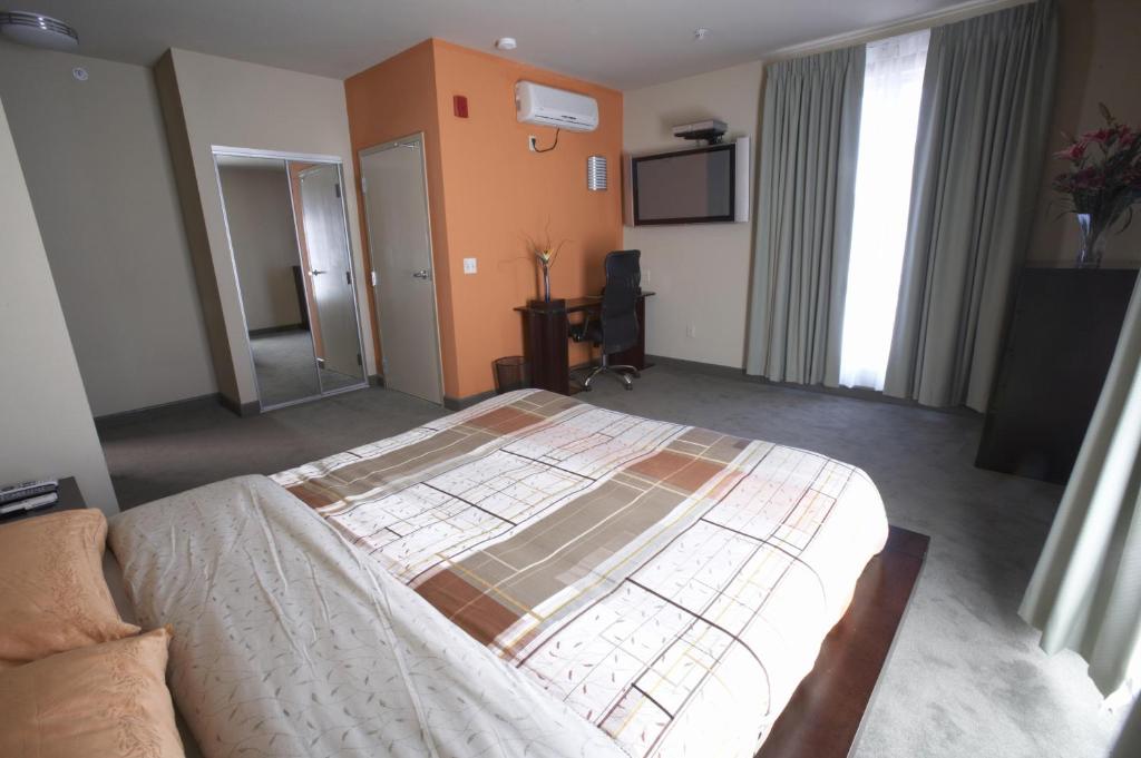 Downtown Berkeley Inn - 豪华室